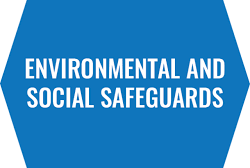 Environmental & Social Safeguard