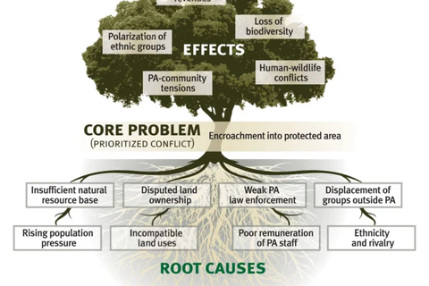 Problem Tree