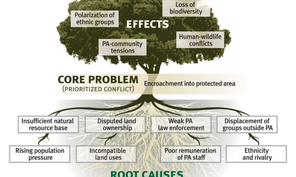 Problem Tree